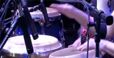 Linette Tobin's hands playing congas,